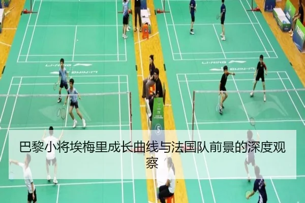 巴黎小将埃梅里成长曲线与法国队前景的深度观察