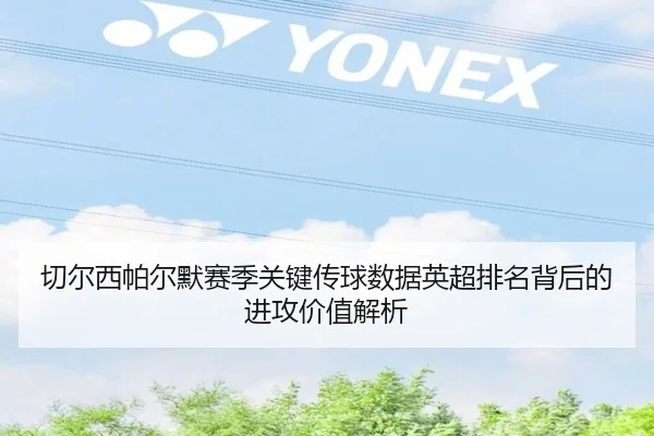 切尔西帕尔默赛季关键传球数据英超排名背后的进攻价值解析